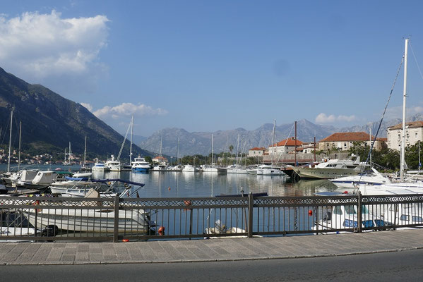 Kotor