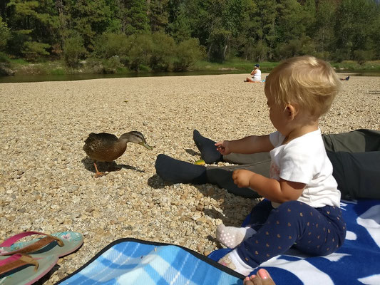 Yosemite Nationalpark - Zoé beim Enten füttern