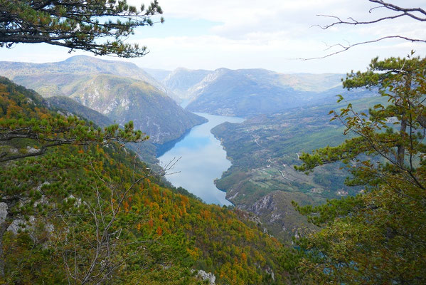 Tara Nationalpark - Aussichtspunkt Banjska Stena 