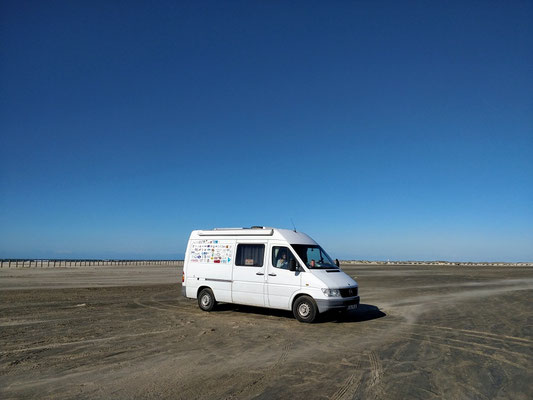 Camargue