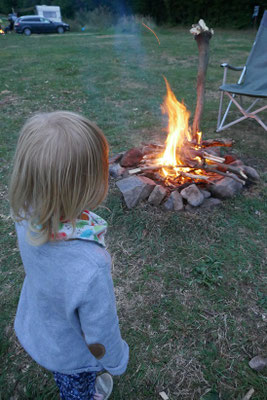 Camp Lazy