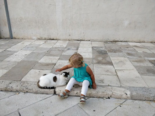 Zadar - Treffen mit guten Freunden :)