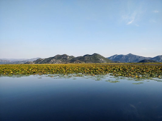 Skadar-See