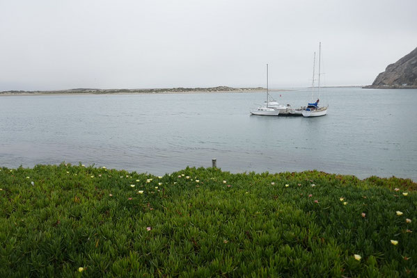 Morro Bay