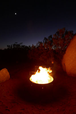 Joshua Tree Nationalpark - unvergessliche Campingabende