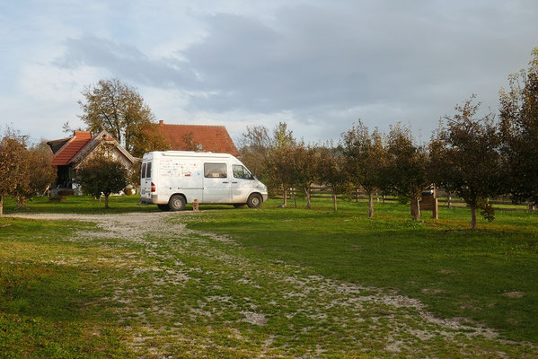 Autocamp Viljamovka