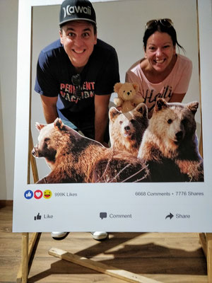 Bear Sanctuary von 4Pfoten