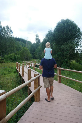 Cesis
