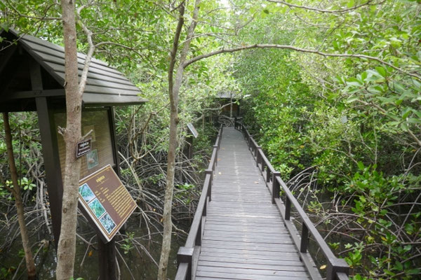 Pranburi Forest Park