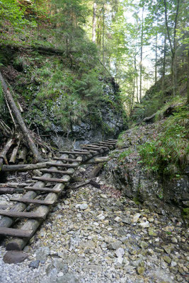 Suchá Belá Wanderweg