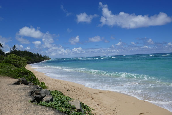Impressionen von O'ahu