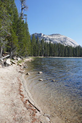 Yosemite Nationalpark - Tenaya Lake