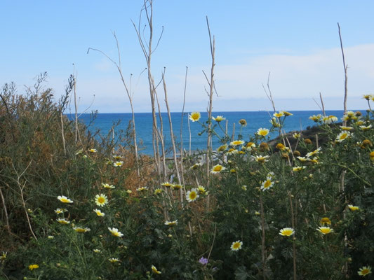 traumhafte Freistehplätze am Meer