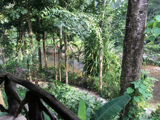 Khao Sok Nationalpark - Blick von unserer Terrasse