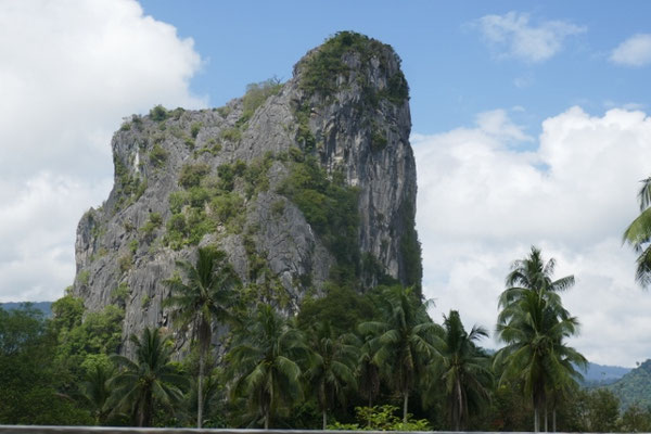 Belum Rainforest