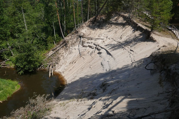 Sanddünen in Purciems