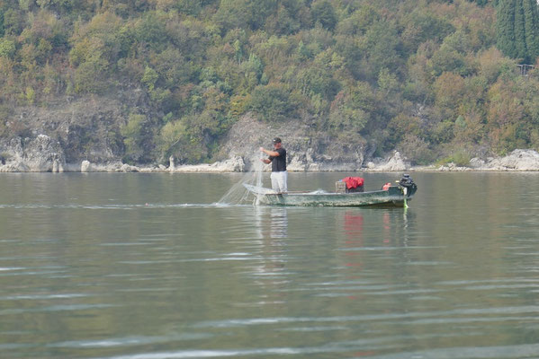 Skadar-See