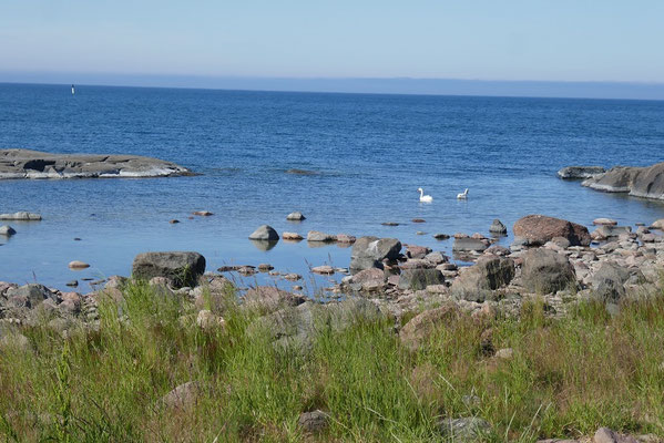 Impressionen von der Küste Finnlands