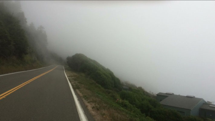 so neblig begrüßte uns der Highway 1 bei Fort Bragg