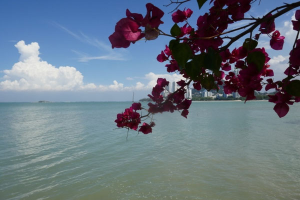 Lost Paradise Resort Penang