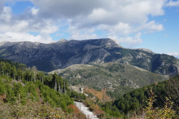 Passstraße von Sparta nach Kalamata