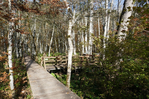 Biogradska Gora Nationalpark