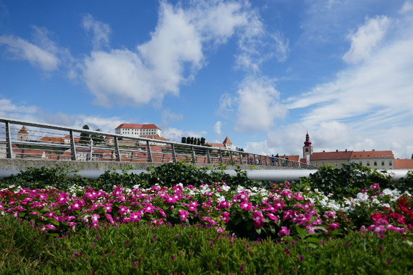 Ptuj