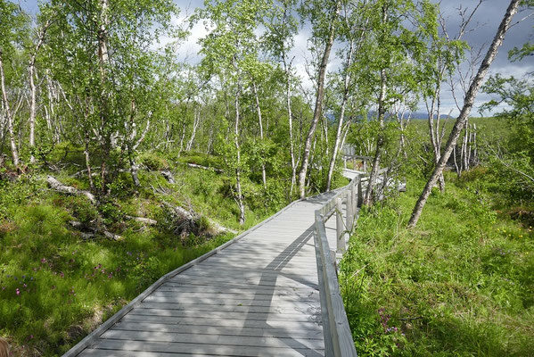 Abisko Nationalpark