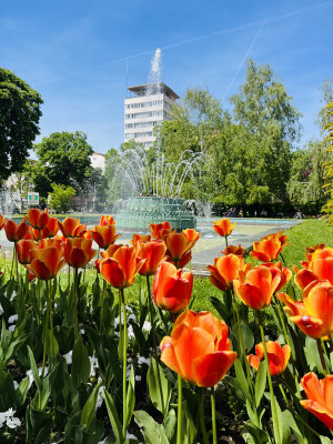Sofia