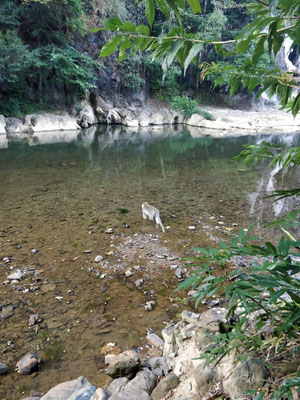 Khao Sok Nationalpark
