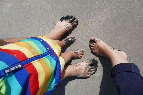 Wattwanderung im Nationalpark Wattenmeer
