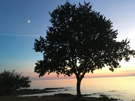 Camping Umag