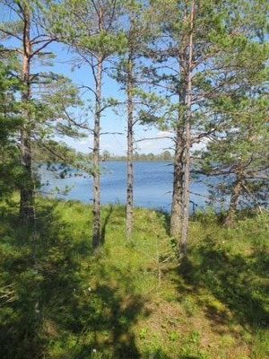 Store Mosse Nationalpark