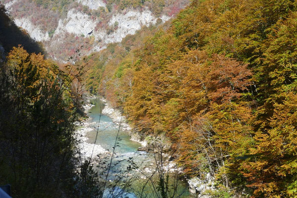 Tara Schlucht