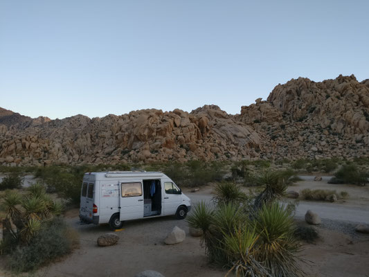 Joshua Tree Nationalpark