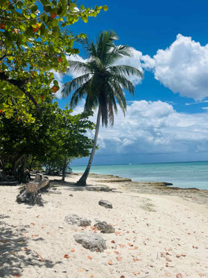 Dom Rep, Nationalpark Cotubanama 