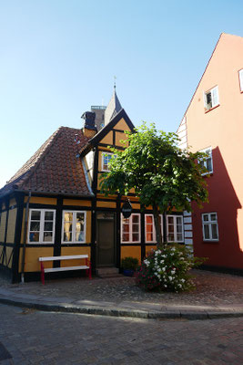 Ribe