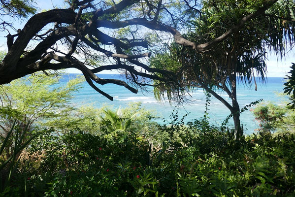Impressionen von O'ahu