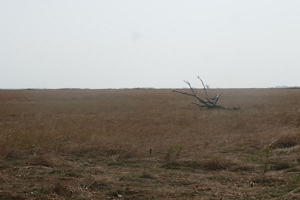 Hortobágy Nationalpark