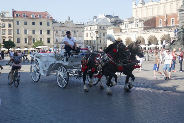 Krakau