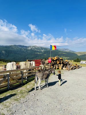 Transalpina Pass