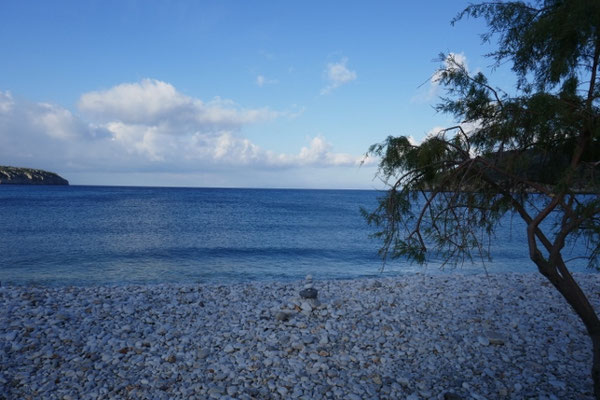 Saurier-Eier-Strand
