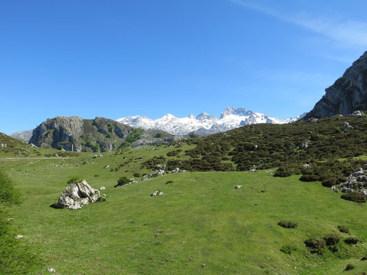 Picos de Europa