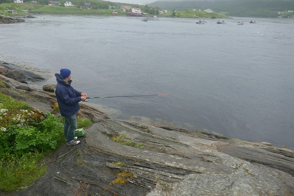 angeln in Saltstraumen