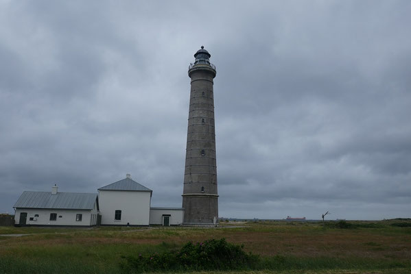 Grenen