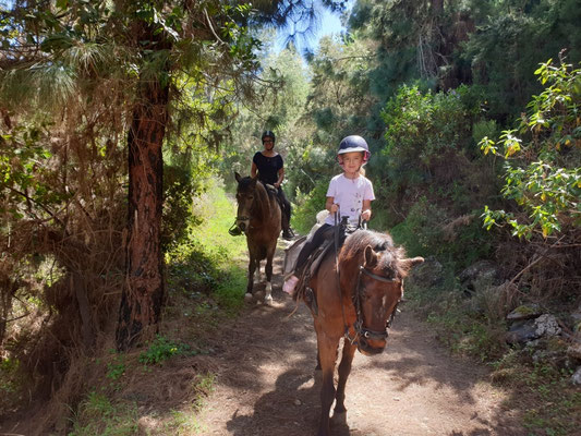 Austritt im Corona Forrest