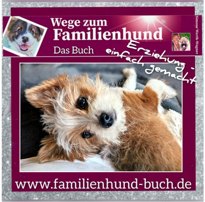 Hundewissen, Hundezüchter, Hundebuch