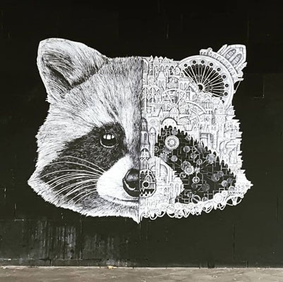 Street Art Düsseldorf Bilk - Ardiff Raccoon