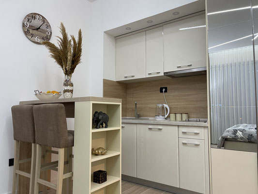 Espace cuisine fonctionnel pour les invités.