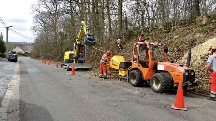 Abattage d'arbres dangereux à Charleroi